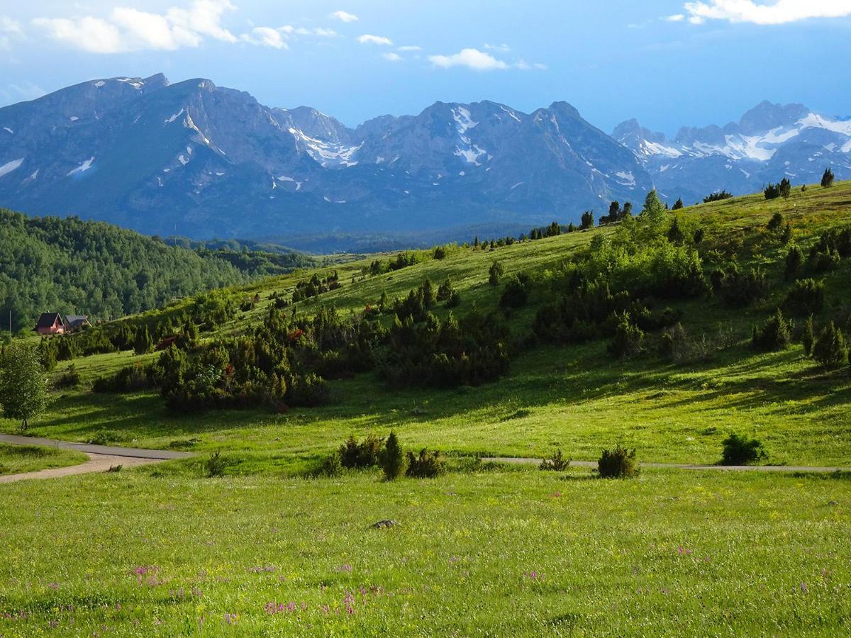 זבליאק Durmitor View Lodge מראה חיצוני תמונה
